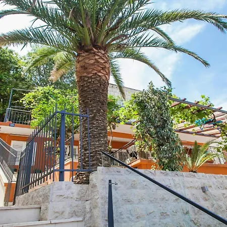 Amfora Daire Budva